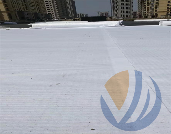 廣西博古東海岸