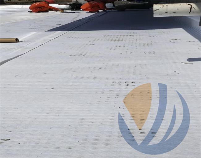 衡水盛世華府項目