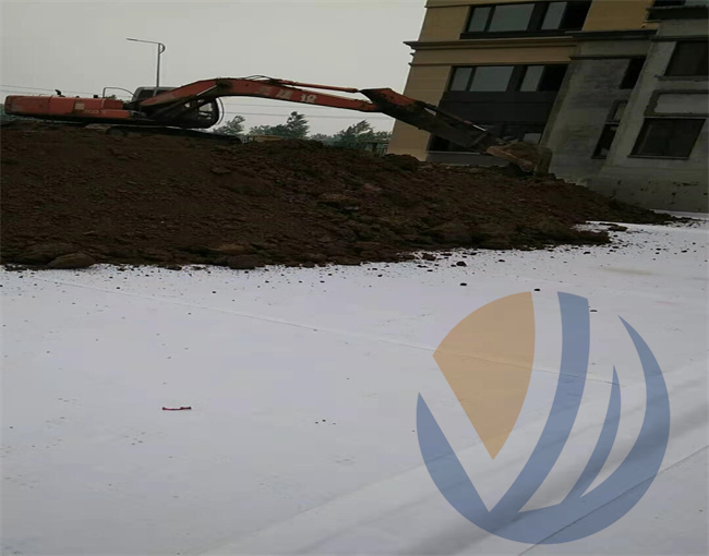 衡水盛世華府項目